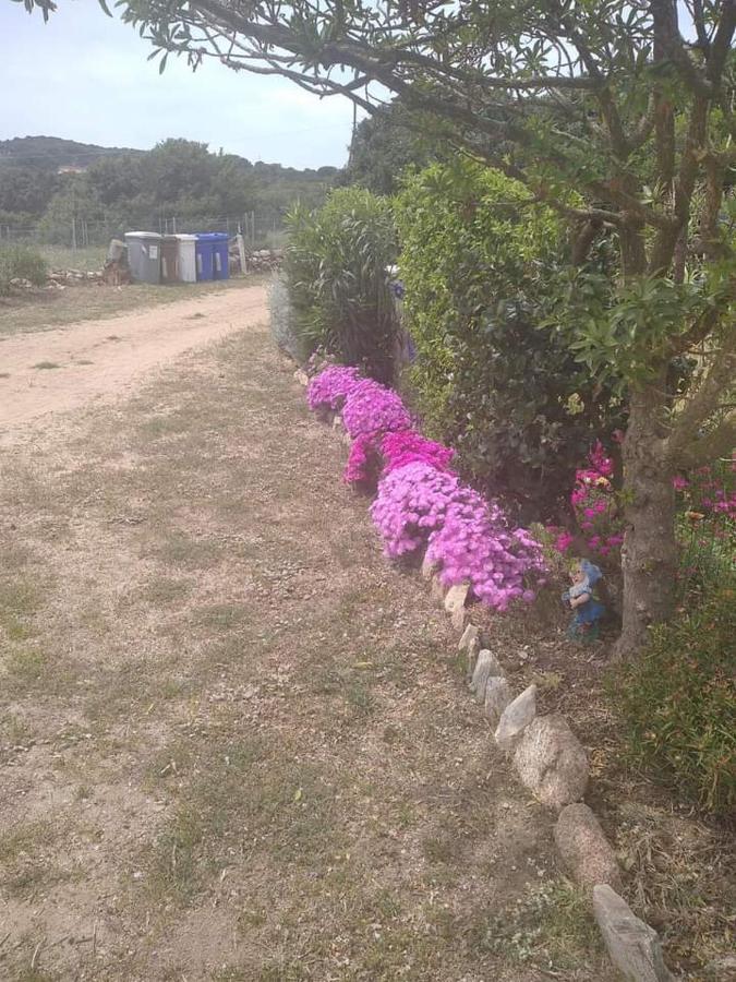B&B Li Salcuneddi Aglientu Exteriör bild