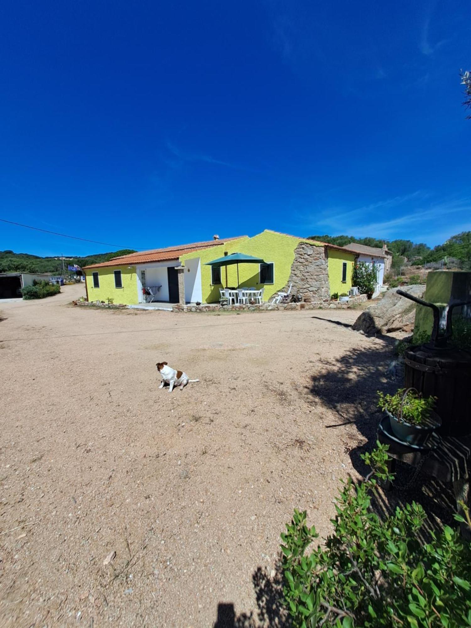 B&B Li Salcuneddi Aglientu Exteriör bild
